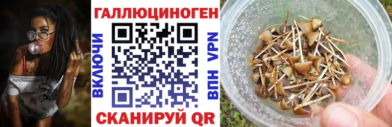 где найти наркотики  сайты даркнета наркотические препараты  Галлюциногенные грибы Psilocybe  Кологрив 