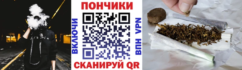 Бошки Шишки VHQ  Кологрив 